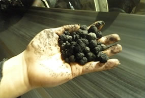 使用空心槳葉干燥機干燥煤泥（后）